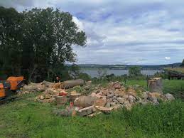 Therefore, the conservation commission developed a tree removal policy to: Weston Tree Services Home Facebook