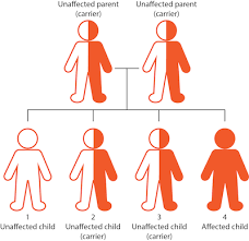 Aita for dating _ (or not). Understanding Genetics