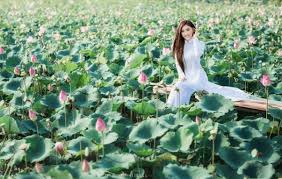 Đẹp hút hồn đầm sen Tam Đa Quận 9 - Sài Gòn - Vntrip.vn