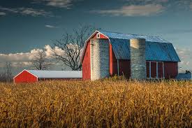 Photos, address, and phone number, opening hours, photos, and user reviews on yandex.maps. Red Barn And Cornfield In West Michigan On A Sunny Day Photograph By Randall Nyhof