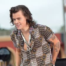 People also love these ideas. Harry Styles Birthday Looking Back At The Singer S Sartorial Evolution Cnn Style