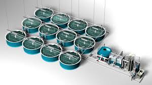 China Layout Design Of Recirculating Aquaculture System Aquaculture Aystem Equipment Indoor Fish Farm For High Density China Aquaculture Indoor Fish Farming System Indoor Fish Farm