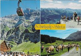 +41 71 365 65 65 fax +41 71 365 65 66 kontakt@saentisbahn.ch. Schwagalp Santis S Comprare Su Ricardo
