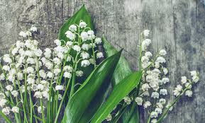 Maybe you would like to learn more about one of these? 13 Beautiful Wedding Flowers Their Meanings North West Brides