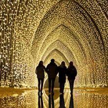 Lightscape Chicago Botanic Garden In 2020 Chicago Botanic Garden Linden Tree Waterfall