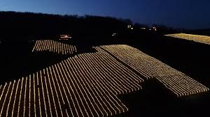 They require you to start thinking about, planning and preparing months in advance. Best Christmas Lights Events In Loudoun Silvey Residential Silvey Residential