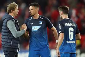 Head Coach Julian Nagelsmann Of Hoffenheim Celebrates With Sandro Sandro Coach Celebrities