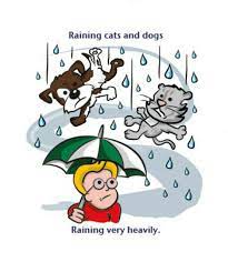 Raining Cats And Dogs Idioms English Idioms Raining Cats And Dogs