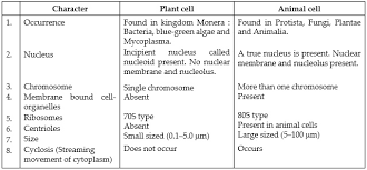 Eukaryotic plant and animal cell differences. Ncert Solutions Cell The Fundamental Unit Of Life Biology Class 9