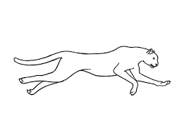 Easy cheetah drawings free image. How To Draw A Cheetah Running Step By Step Easy Animals 2 Draw