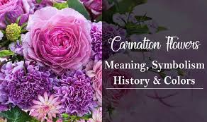 Magical, meaningful items you can't find anywhere else. Carnation Flowers Meaning Symbolism History Colors