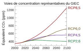 Un récapitulatif complet des impacts du changement. File Voies De Concentration Representatives Du Giec Svg Wikimedia Commons