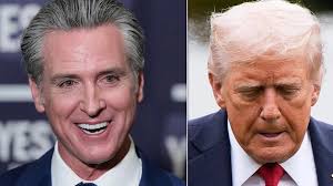 Tony Stack leaving as head of N.L.'s English school board