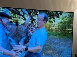 Image result for tbn:yc4z3PlYpS2nZM::bilouzerpg.ifrance.com/proto_tyrant5.jpg