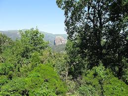 We did not find results for: Aspromonte National Park In San Luca Italy Sygic Travel