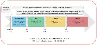Ijerph Free Full Text Defining Post Covid Symptoms Post Acute Covid Long Covid Persistent Post Covid An Integrative Classification Html