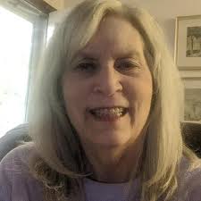 Online Learning: A User-Friendly Approach for High School and College  Students: Bowman, Leslie, Jr, J Michael Tighe: 9781607097471: Amazon.com:  Books