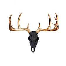 Picture deep information for glitter antlers resin deer head stag. Black And Metallic Gold Antlers Mini Deer Skull Fake Animal Resin Taxidermy Sculpture Stag Deer Antler Wall Decor Art Skull Buy Black And Metallic Gold Antlers Mini Deer Skull Deer Antler Wall Decor Art