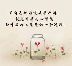 内观法就是要了解你身心净化的整个过程 grey