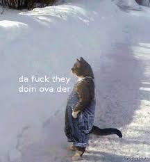 Change the date range, see whether others are buying or selling, read news. Lqayzinpuw Pym