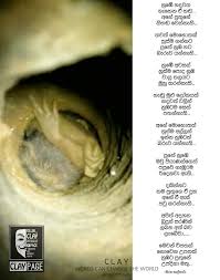 We did not find results for: Sri Lanka Tweet On Twitter Rip Sujith Sri Lankans And Social Media Reacting Heavily For The Death Of 2 Years Old Sujith Sri Lankans Heart Go Out After Hearing