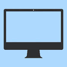 Image result for Syncolostemon bracteosus