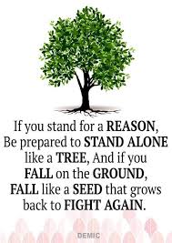 Solitude doesn't have to equal loneliness. Pin By Tess Cunanan On Words Of Wisdom Silent Quotes English Quotes Seeds