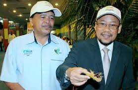 Menurut unit perancang ekonomi, jabatan perdana menteri, sektor. Kumbang Merah Palma Ancam Kelantan