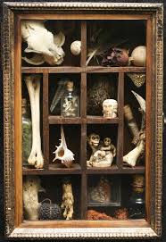 Petitpoulailler Com Cabinet Of Curiosities Box Art Decor
