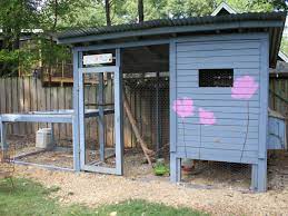 2.1 pawhut deluxe wooden chicken coop with backyard outdoor run, 87″. Why I Raise Backyard Chickens Hgtv