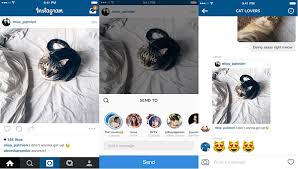 You can also request this sizable download package through the app. Download Instagram Direct