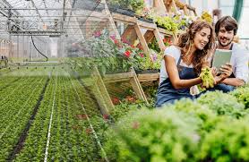 35+ neu fotos garten mit bambus / eine bambusstang. Start