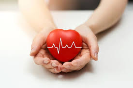 Şerce — dağdan aşağı sahraya inen akıcı su … serce kazimierza — (краков,польша) категория отеля: Serce Co Trzeba O Nim Wiedziec Apteline Pl