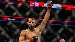 Watch ufc 253 full fight video highlights: Reyes Vs Blachowicz Bei Ufc 253 Preview Stats Prognose Wetten