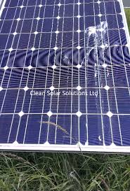 The Effects Of Bird Droppings Solar Panels The Harsh Reality Clean Solar Solutions Ltd