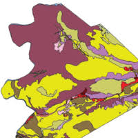 Image result for Trichoneura grandiglumis