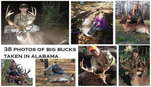 38 Photos Of Big Bucks Taken In Alabama Al Com
