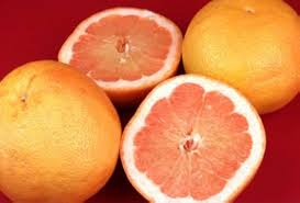 Image result for Grapefruit