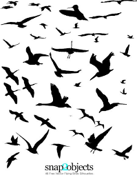 Free Images Birds In Flight 46 Free Vector Flying Birds Silhouettes Snap2objects Bird Silhouette Flying Bird Silhouette Bird Outline