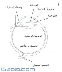 الجلوكوما الغلوكوما المياه الزرقاء الزرق الماء الاسود في العين Glaucoma طبيب دوت كوم