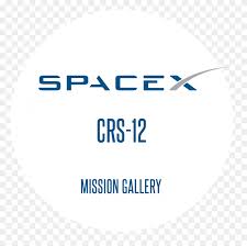 Download now for free this spacex logo transparent png picture with no background. Spacex Logo Spacex Logo Png Stunning Free Transparent Png Clipart Images Free Download