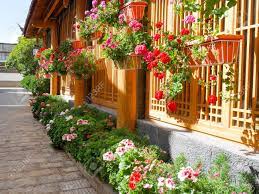 Check spelling or type a new query. Little Garden Full Of Colorful Flowers In Front Of The House Stock Photo Picture And Royalty Free Image Image 143945251
