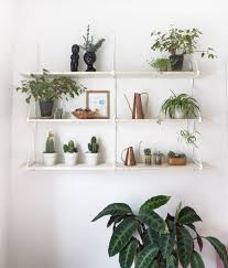 Ideas Para Decoracion Con Plantas De Interior Royo Blog Plant Shelves Decor Plants