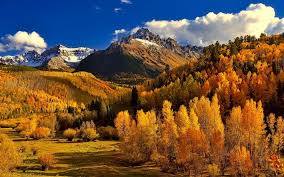 Download Wallpapers Autumn Mountain Landscape Mountains Forest Yellow Trees Colorado Usa For Desktop Free Pictures For Desktop Free