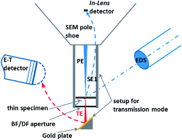 This potential is sufficient to curve the trajectories of. High Resolution Imaging With Sem T Sem Edx And Sam As A Combined Methodical Approach For Morphological And Elemental Analyses Of Single Engineered Na Rsc Advances Rsc Publishing Doi 10 1039 C4ra05092d