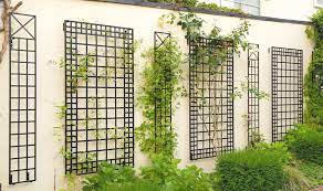 Soll eine sichtschutzwand oder sichtschutzzaun optisch unterbrochen werden kann das robuste rankgitter nizza diese gewollte lücke dekorativ füllen. Wand Rankgitter Aus Metall Als Kletterhilfe Vom Hersteller Kaufen