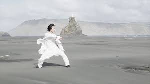 Ouverture du tai chi chuan 2. Tai Chi 24 Chen Style Youtube