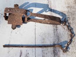 Newly employed professionals in the field are best served by drawing on the experience of those who have served before them. Steel Jaw Traps Are Illegal To Set In Nsw Rspca Nsw