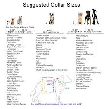Pet Collars For Dogs By Glow Castle Basic Polyester Nylon Collar Lead Harness For Dog