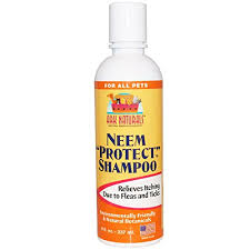 Cats are constantly licking, cleaning and grooming themselves, so whatever you put on them they will ingest. Using Neem Oil For Fleas On Cats
